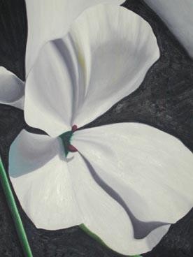 Paris Flower