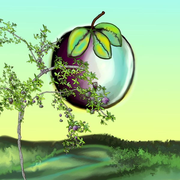 FRUIT OF THE VINE