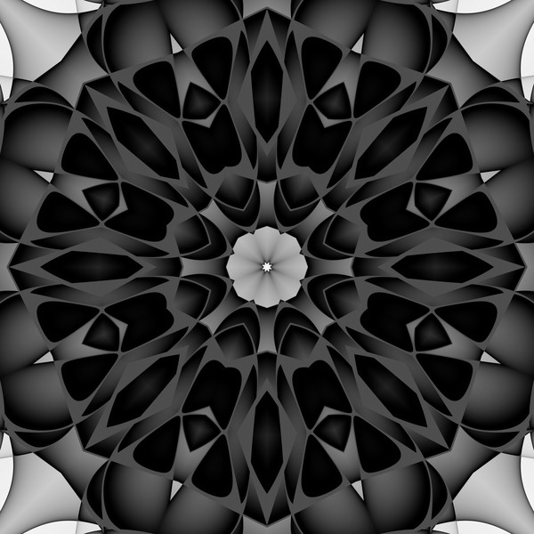 Floral Contrast Mandala