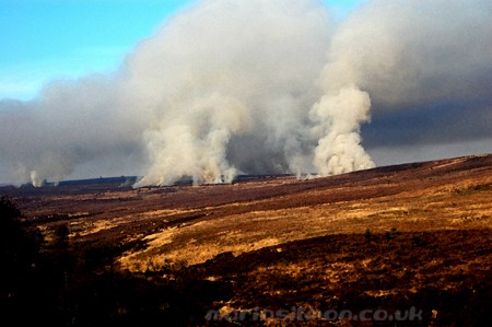 MOOR FIRES