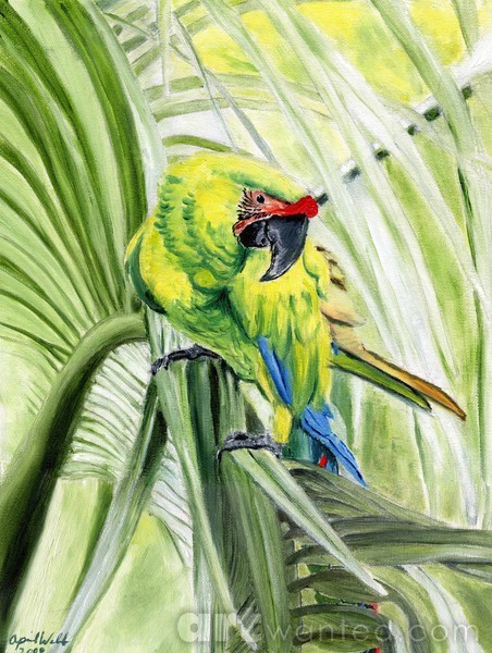 Great Green Maccaw