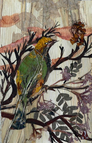 Green Yellow Bird