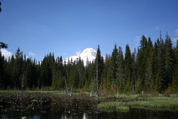 Picture_024