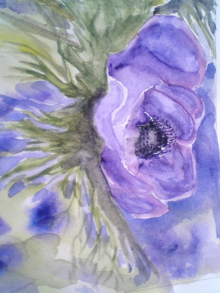1 anemone