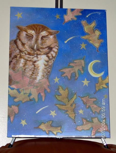 Owl Dream Time