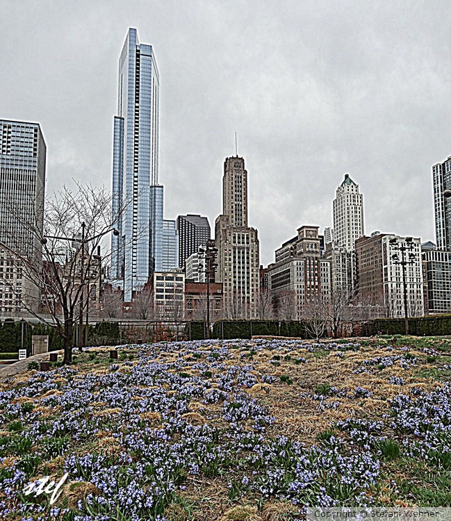 spring signs in Chicago