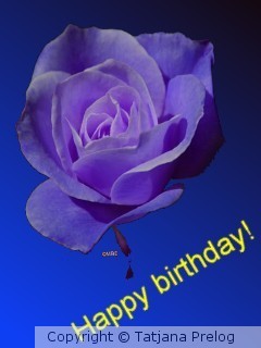 Happy Birthday!