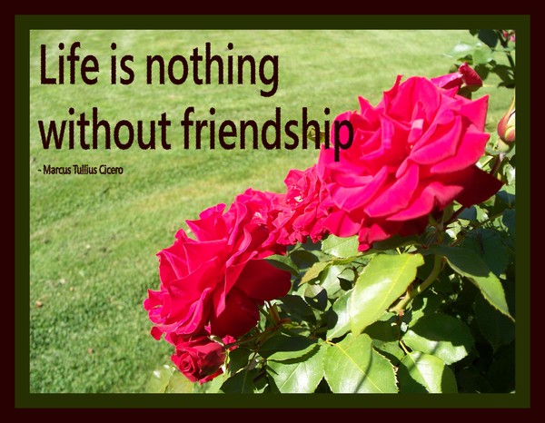 LIFE IS NOTHING WITHOUT FRIENDSHIP