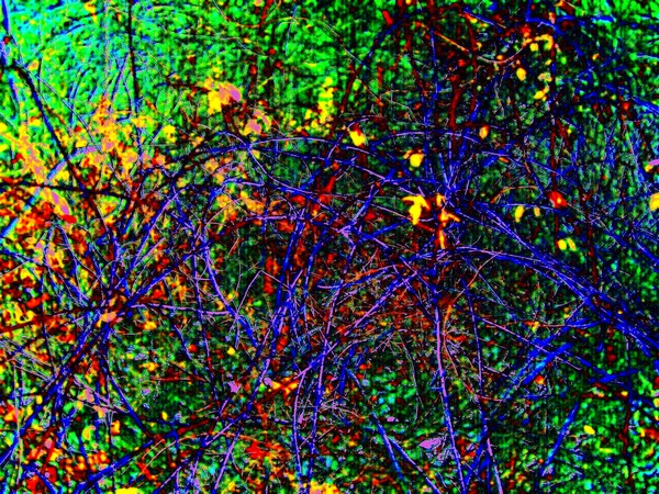 Life sometimes gets tangled