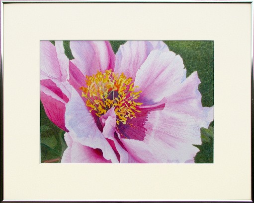 Peony #1