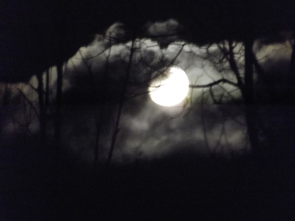 Haunting Moon