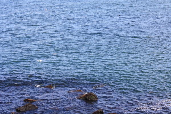Ocean Rocks