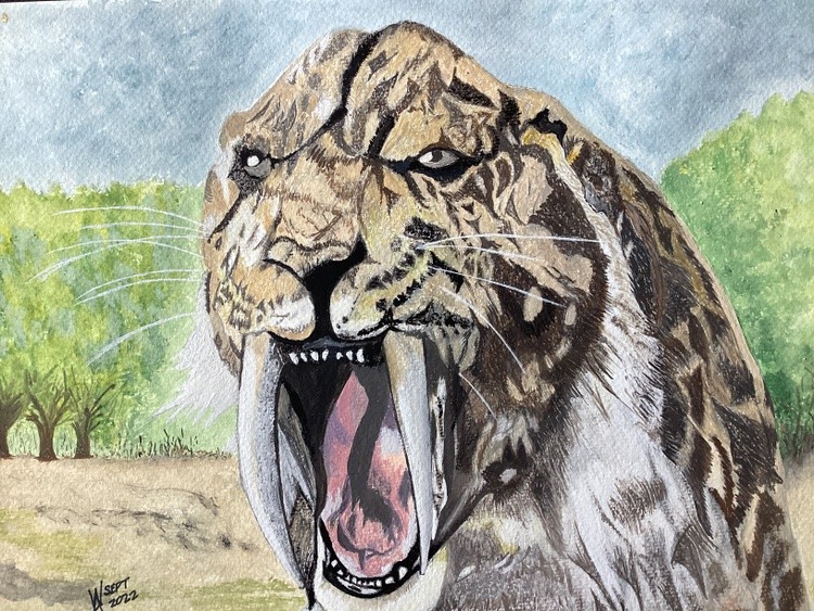 Extinct Sabre Toothed Tiger.