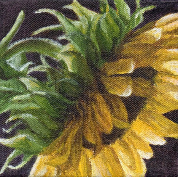Spring Sun