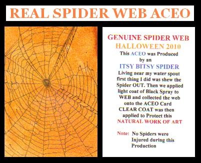 ITSY BITSY SPIDER
