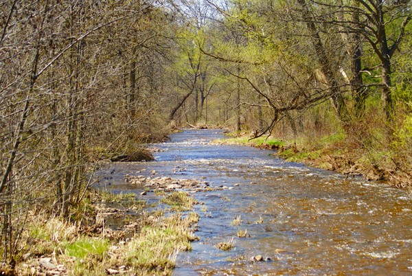 Creek View