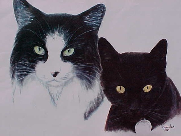 CATS