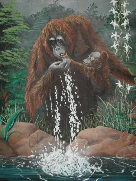 Orangutan and Baby