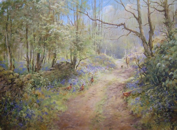 Spring Bridleway, Northumbeland