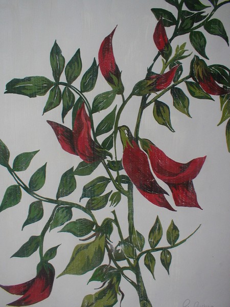 Bladder Senna