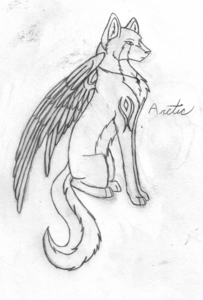 Poem Arctic fully drawn