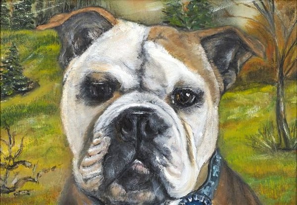 Blue Ribbon Winner