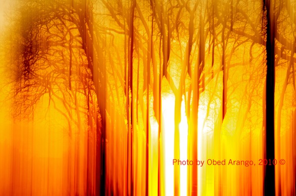 Sun Painting III/Pintura de sol III