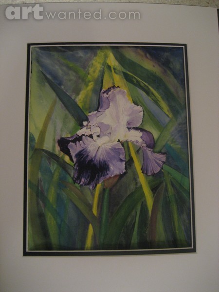 Sundrenched Purple Iris