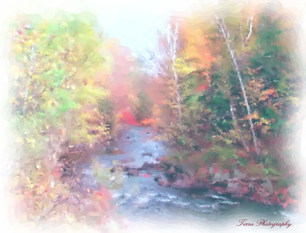 Birch and Brook-Detailed Watercolor