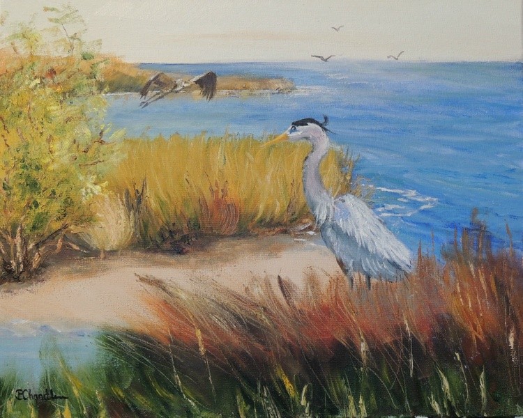 On the River's Edge