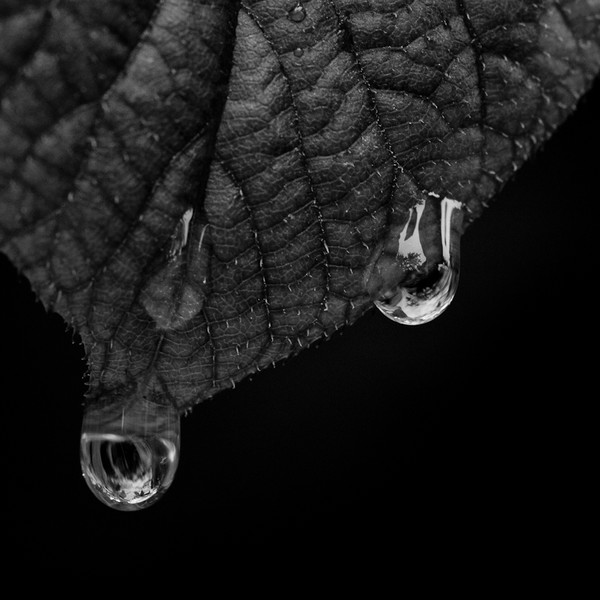 after the rain