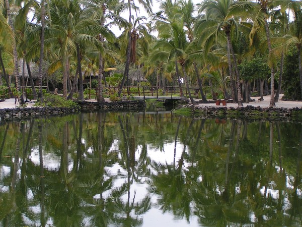 Hawaiian Village 2