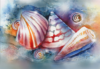 Shells
