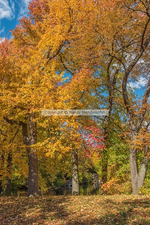 Fall in Prospect Park