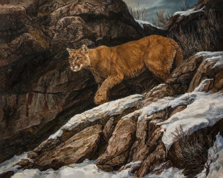 Ready for the Hunt