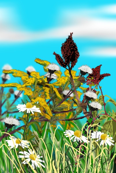 late summer weeds