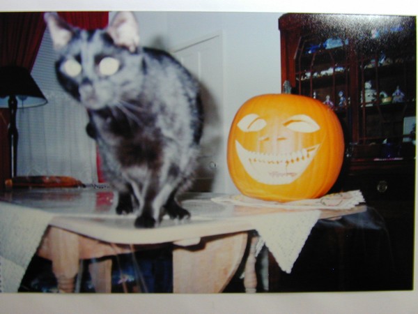 Halloween Spirits