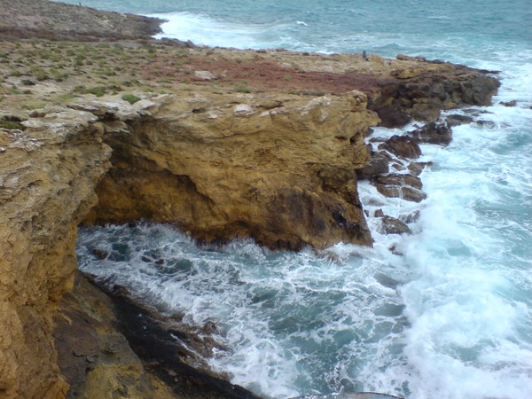 Sea vs land
