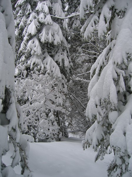 White Calm