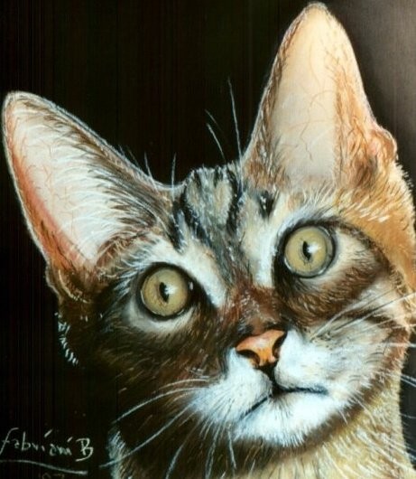Meow