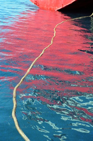 Yellow Cord