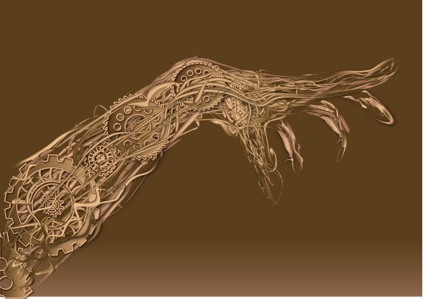 skeletal arm