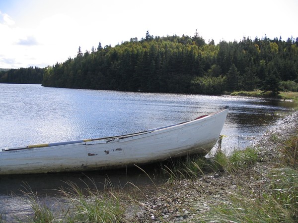 Ashore
