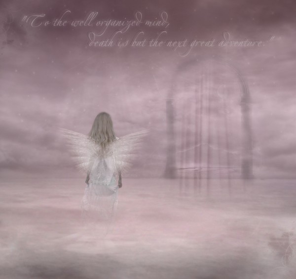 a new beginning
