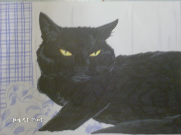 my cat moech