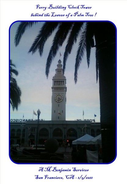 clock tower under palm leaves