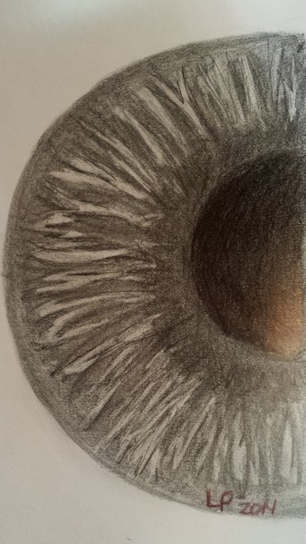 Iris and Pupil