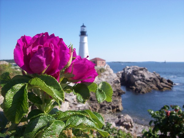 summer by the coast