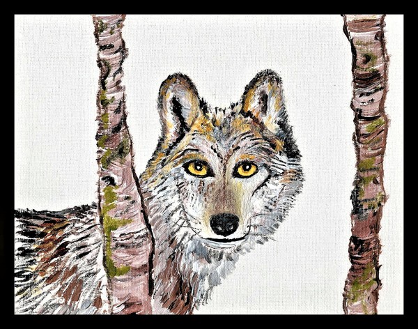 The cunning wolf hides behind the trees