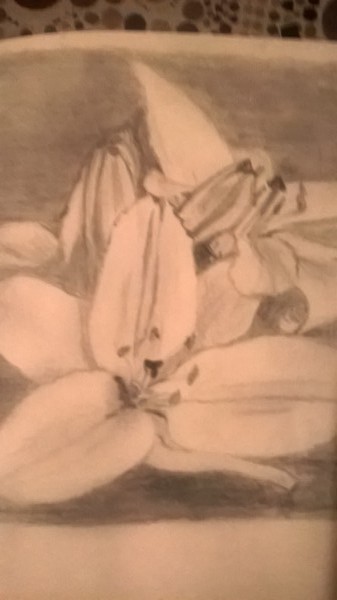 Sketch: flower